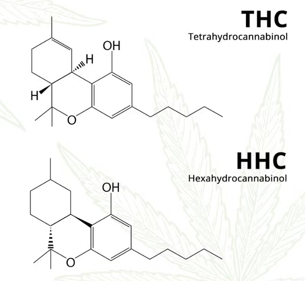 What is HHC and How Does it Compare to THC?